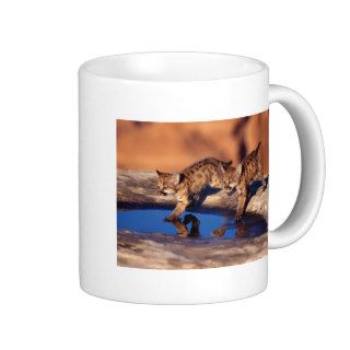 cougar twin cubs coffee mug