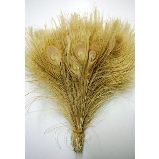 50 Pcs Peacock Feathers 10" 12" Bleached