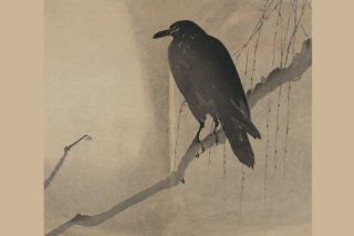 Buy Enlarge 0 587 23603 5C12X18 Crow on a willow branch  Canvas Size C12X18   Prints