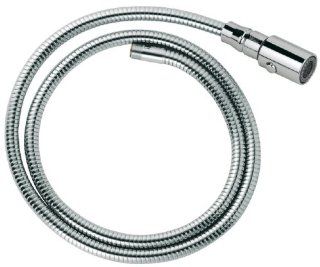 Grohe 46592000 Hose and Head Assembly, N/A   Faucet Trim Kits  