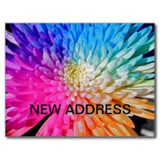 Chrysanthemum Artificial Colour Post Card