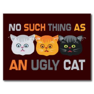 No Ugly Cats Postcard