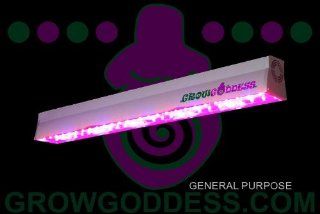 LED Grow Light Grow Goddess 600 General Purpose  Plant Growing Lamps  Patio, Lawn & Garden