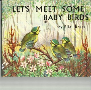 Let's Meet Some Baby Birds (Medici books for children) Ella Bruce 9780855030025 Books