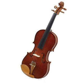 Cecilio CVN 200 Rosewood Violin with Accessories Other Stringed Instruments