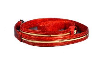 Aviditi BL606 L LED Lighted Dog Leash, Red with Red LED Lights, Large  Pet Leashes 