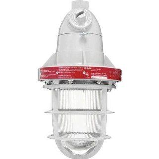 RAB Lighting EP124 3/4 Explosionproof Outdoor Pendant, Silver   Pendant Porch Lights  