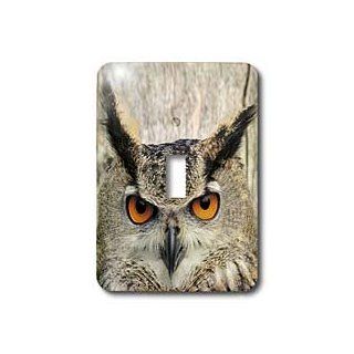 3dRose LLC lsp_9902_1 Eagle Owl, Bubo Bubo Single Toggle Switch   Switch Plates  