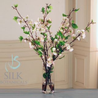 Jane Seymour Botanicals Cherry Blossoms in Cylinder Glass Vase