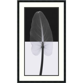 Calla Leaf I by Steven N. Meyers, Framed Print Art   29.08 x 17.14