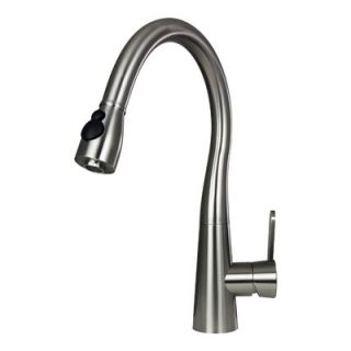 Boann Sophia Single Handle Pull Out Kitchen Faucet