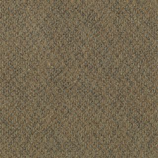 Mohawk Aladdin Energized 24 x 24 Carpet Tile in Heat Cell