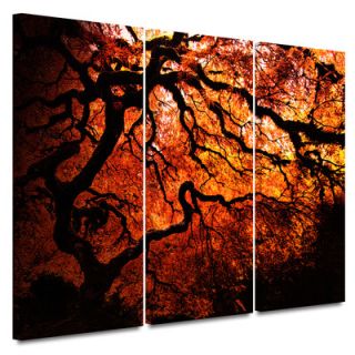 Art Wall 3 Piece Fire Breather Japanese Tree Gallery Wrapped Canvas