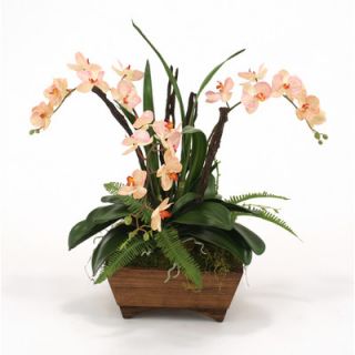 Distinctive Designs Silk Phaleanopsis Orchid in Box