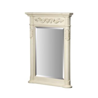 Xylem 33 x 24 Windsor Mirror