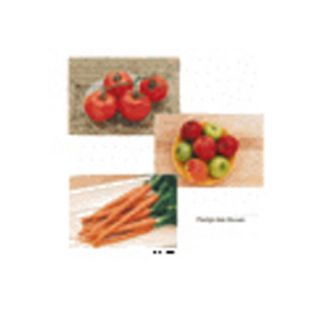 Stages Learning Materials Fruits & Vegetables Poster Set 14