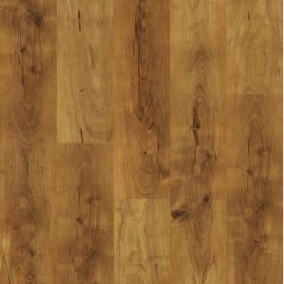 Shaw Floors Natural Values II 6.5mm Pine Laminate in Summerville