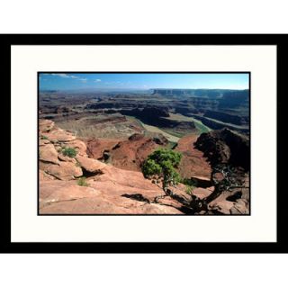 Great American Picture Dead Horse State Park, Utah Framed Photograph