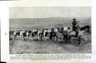 c1920 MAIL CARAVAN ICELAND HORSES MAN PONIES   Prints