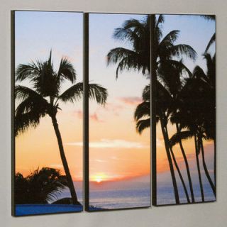 Wilson Studios Three Piece Kaanapali Sunset Laminated Framed Wall Art