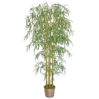 Laura Ashley Home 6 Silk Bamboo Tree with Wicker Basket Planter