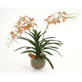 Distinctive Designs Silk Spider Orchid in Glass Bowl
