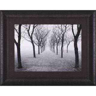 Art Effects Tunnel of Trees Framed Artwork