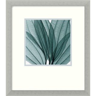 Amanti Art Leaf Bouquet by Steven N. Meyers, Framed Print Art   16.68