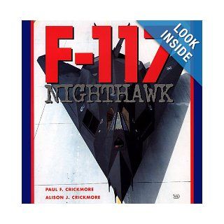 F 117 Nighthawk Paul Crickmore, Alison J. Crickmore 9780760305850 Books