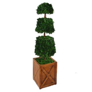 Laura Ashley Home Tall Preserved Spiral Boxwood Cone Topiary in