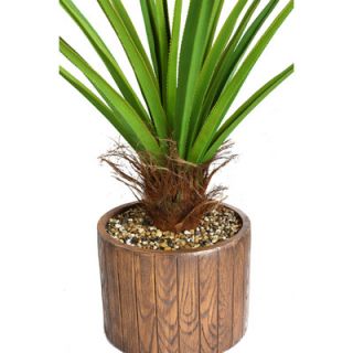 Laura Ashley Home Tall Agave Floor Plant in Cylinder Fiberstone Pot