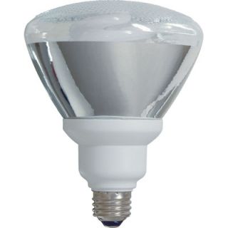 GE 26W PAR38 Energy Smart Flood Light Bulb