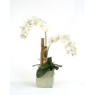 Distinctive Designs Silk Phalaenopsis Orchids in Fire Glazed Ceramic