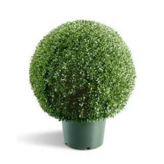 48 Triple Ball Shaped Boxwood Topiary Plant with Plastic Pot