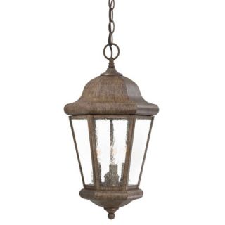 Great Outdoors by Minka Abbey Lane 1 Light Indoor/Outdoor Chain