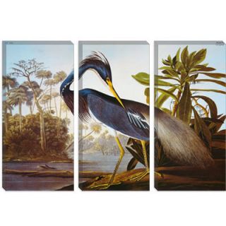 iCanvasArt Louisiana Heron from Birds of America Canvas Wall Art by