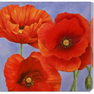 Global Gallery Dance of Poppies II by Luca Villa Stretched Canvas