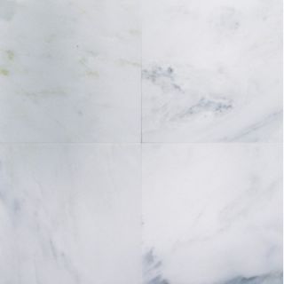 MSI 6 x 6 Honed Marble Tile in Arabescato Carrara