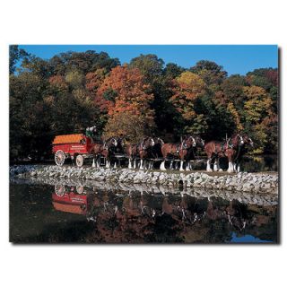 Trademark Art Clydesdale in Fall By Stone Pond Photographic Print on