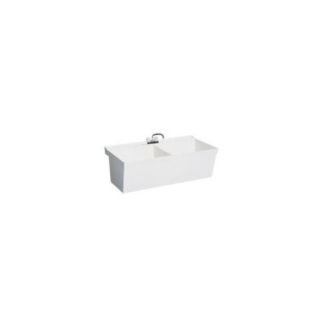 Veritek Double Bowl Wall Mount Laundry Sink