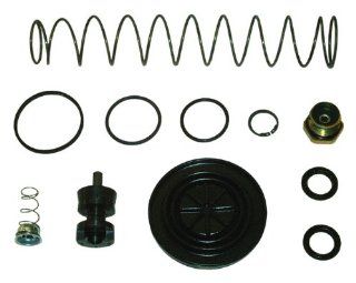 Raybestos MK744 Professional Grade Brake Master Cylinder Repair Kit Automotive