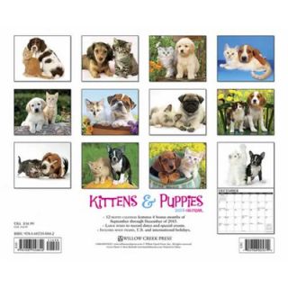 Willow Creek Press Kittens and Puppies 2014 Wall Calendar