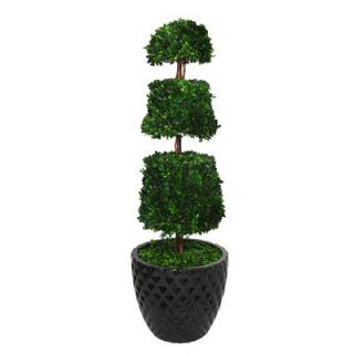 Laura Ashley Home Tall Preserved Spiral Boxwood Cone Topiary in