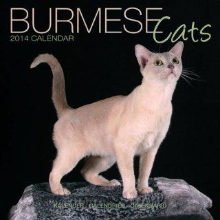 Burmese Cats 2014 Wall Calendar 
