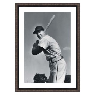 Batter Up Framed Wall Art   22W x 30H in.   Photography