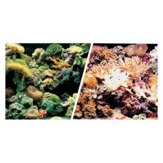 Marina Saltwater Aquarium Background   Marine Reef/Coral   Aquarium Plants & Decorations