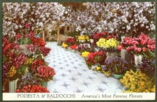Podesta & Baldocchi Florists San Francisco postcard 40s Entertainment Collectibles