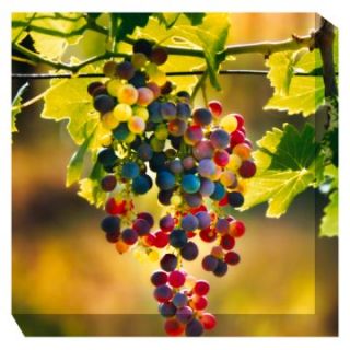 West of the Wind Grapes #3 Outdoor Canvas Art   Outdoor Wall Art