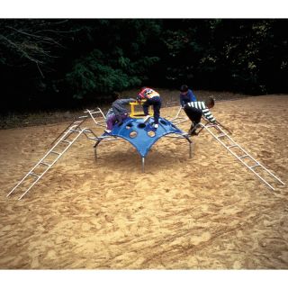 Sportsplay Charlotte the Spider Climber   Commercial Playground Equipment