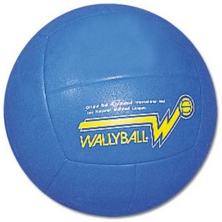Wallyball Official Ball   Volleyballs